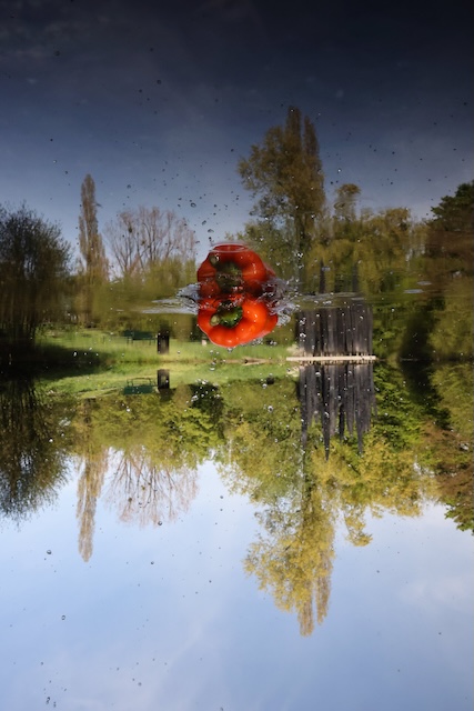 Un poivron tombant dans l'eau d'un étang